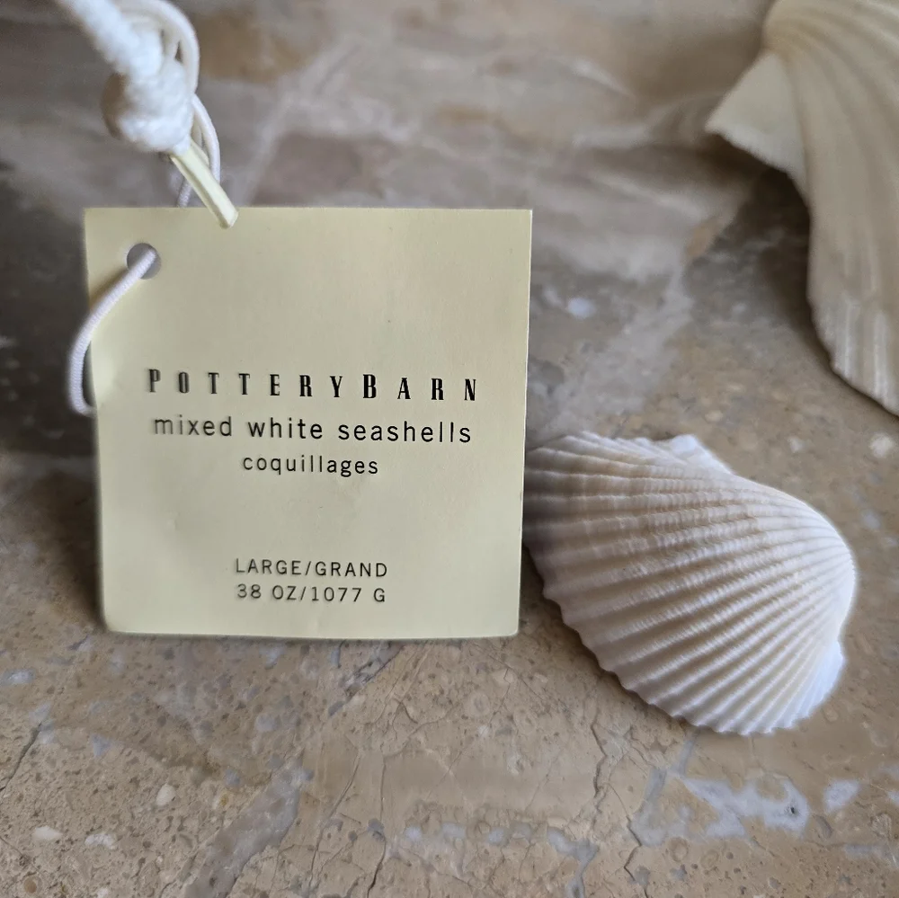 Pottery Barn Mixed White Seashells